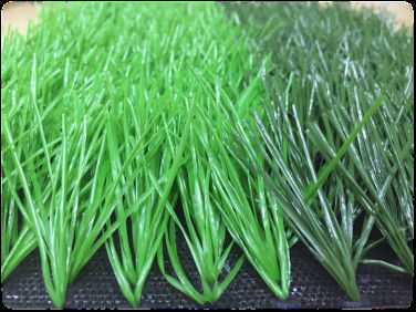 Two Green C Shaped Yarn Artificial Grass 5 Metres Wide 7m X 4m
